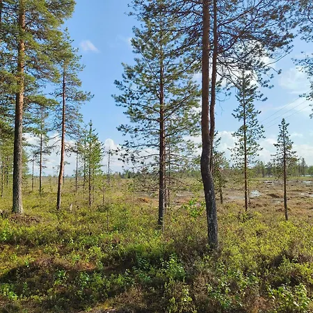 Vaehaereinari, Moekki Yllaeksellae * Ylläsjärvi