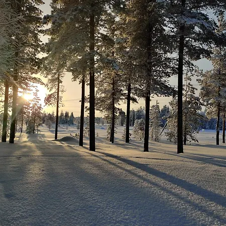 Vaehaereinari, Moekki Yllaeksellae