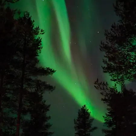 Vaehaereinari, Moekki Yllaeksellae *