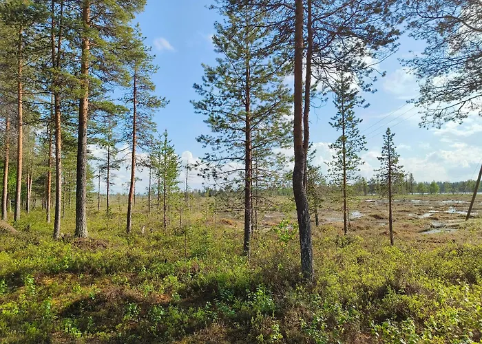 Vaehaereinari, Moekki Yllaeksellae * Ylläsjärvi