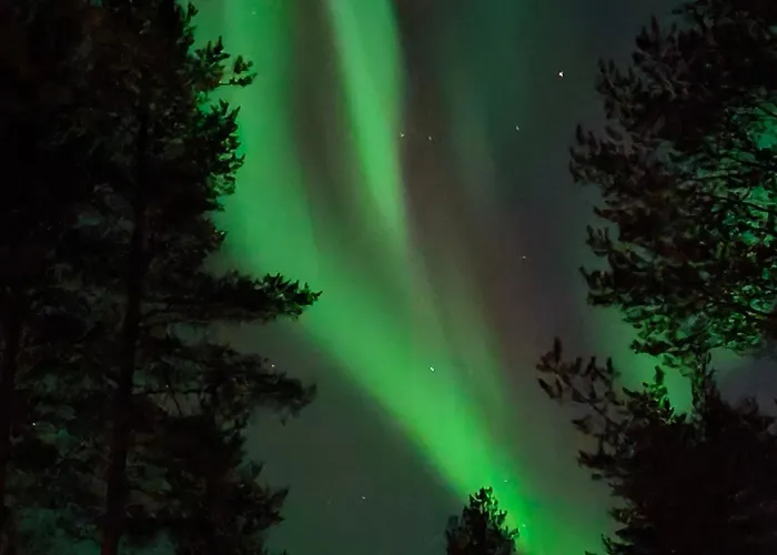 Vaehaereinari, Moekki Yllaeksellae *